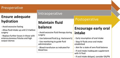 perioperative nutrition ppt|Basics in Clinical Nutrition: Perioperative nutrition .